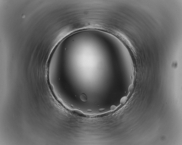 X0000096381284200801241228