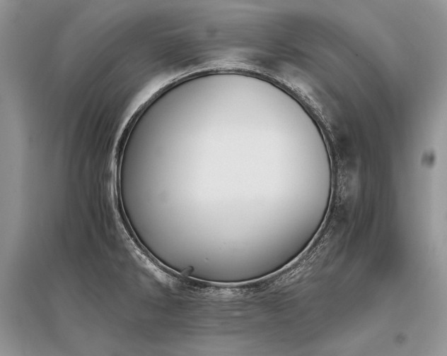 X0000096381286200801241228