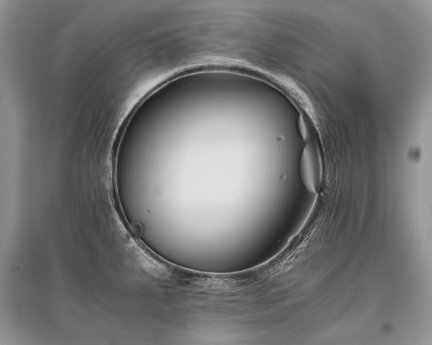 X0000096381287200801241228