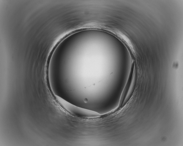 X0000096381288200801241228