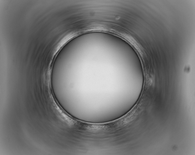 X0000096381290200801241228