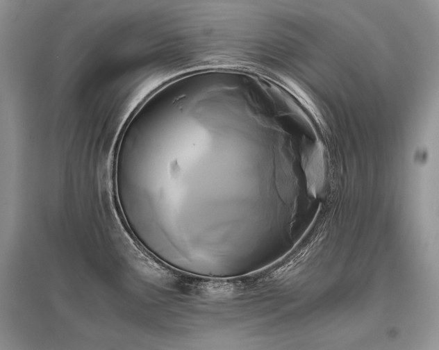 X0000096381291200801241228