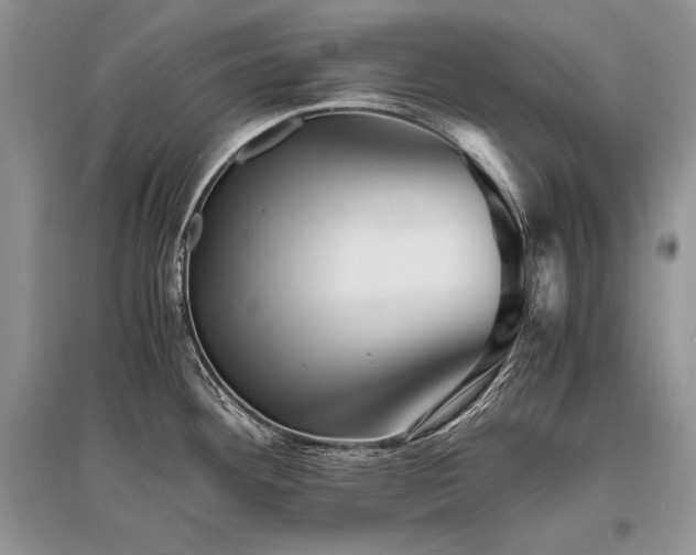 X0000096381292200801241228