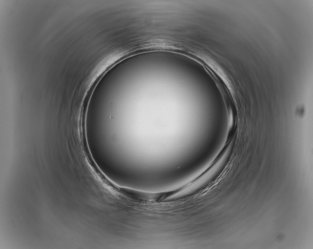 X0000096381293200801241228