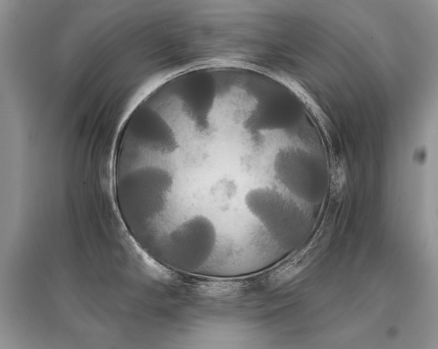 X0000096381294200801241228