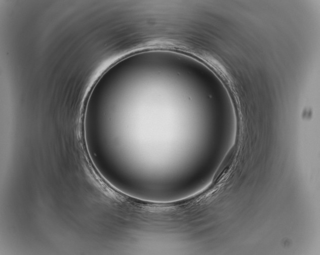 X0000096381296200801241228