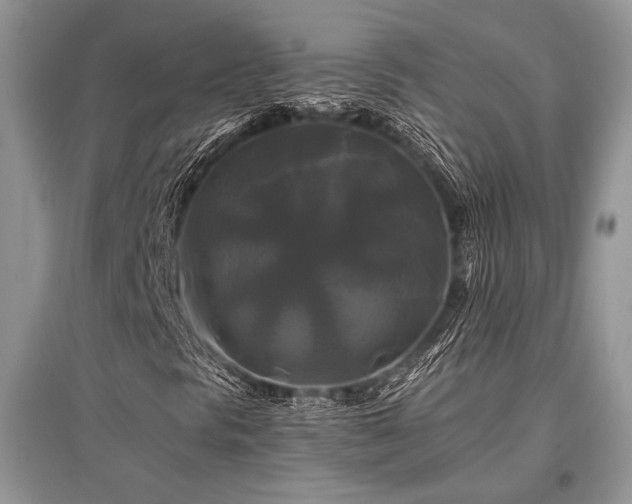 X0000096381297200801241227