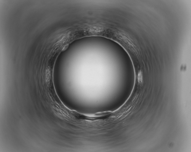 X0000096381299200801241227