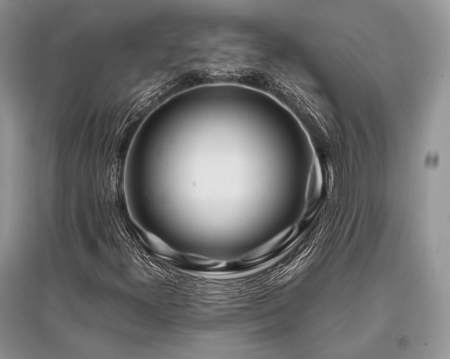 X0000096381300200801241227