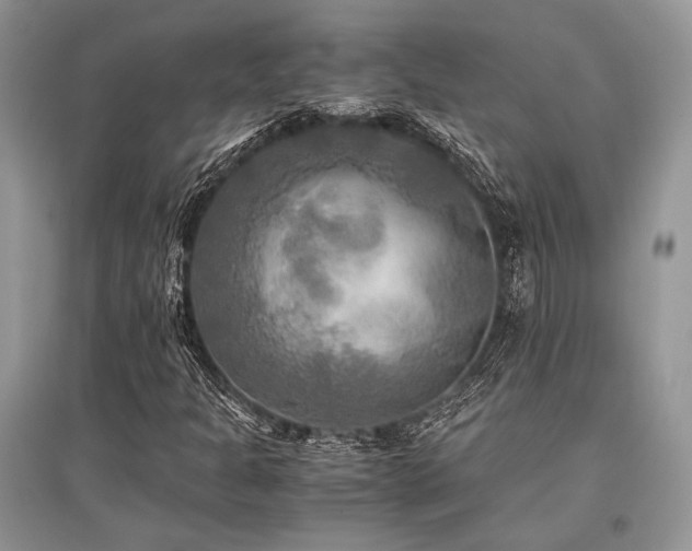X0000096381301200801241228