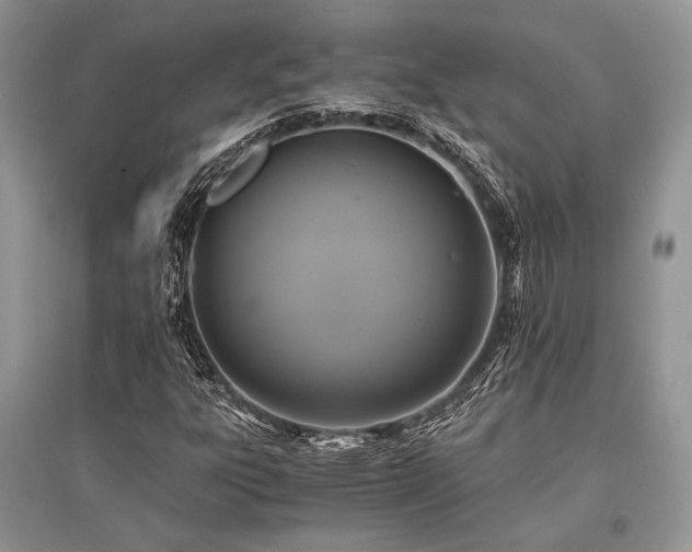 X0000096381303200801241228