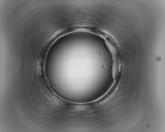X0000096381305200801241228