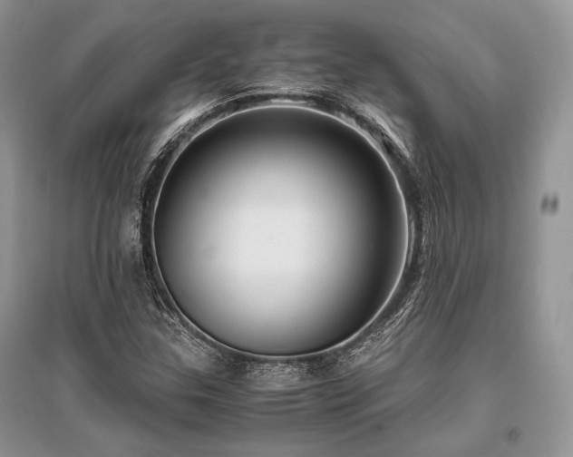 X0000096381307200801241228