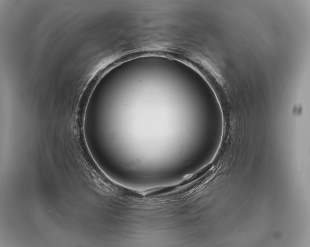 X0000096381308200801241228