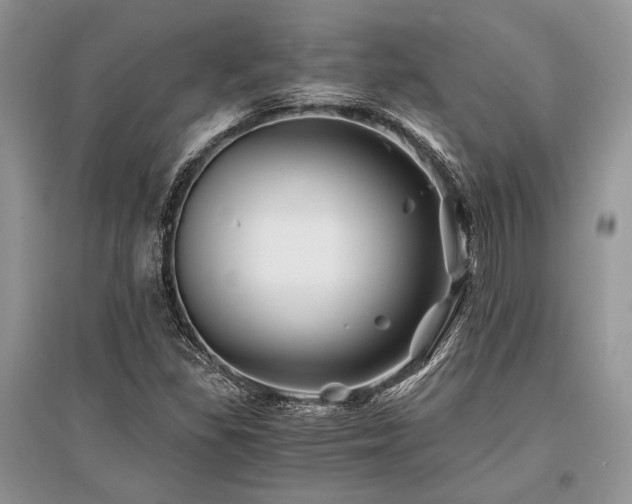 X0000096381309200801241228