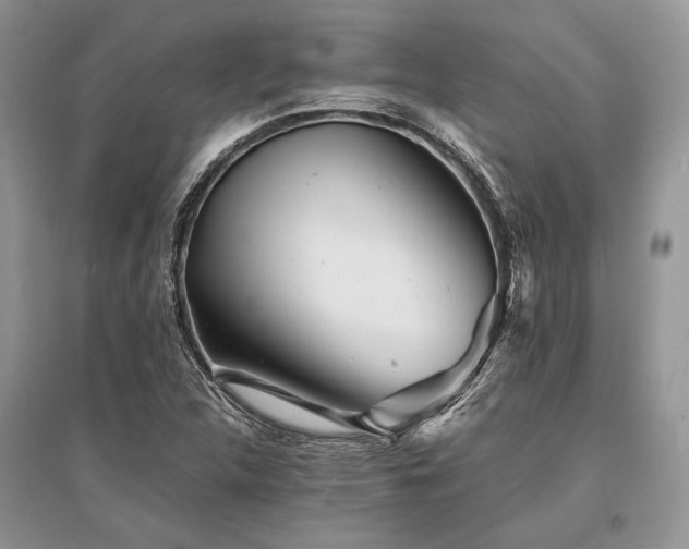 X0000096381312200801241228