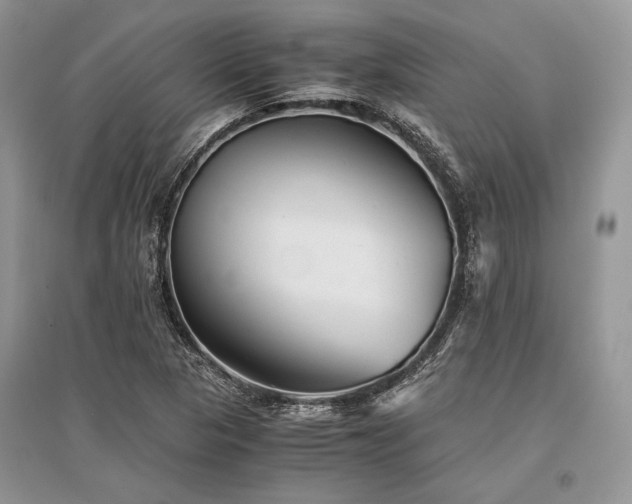 X0000096381313200801241228