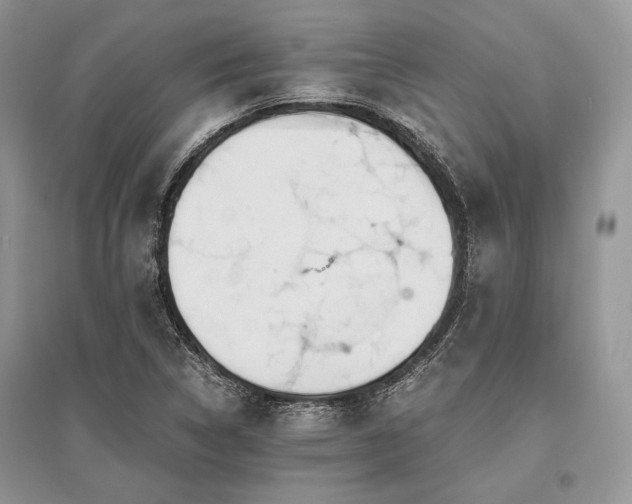 X0000096381314200801241228
