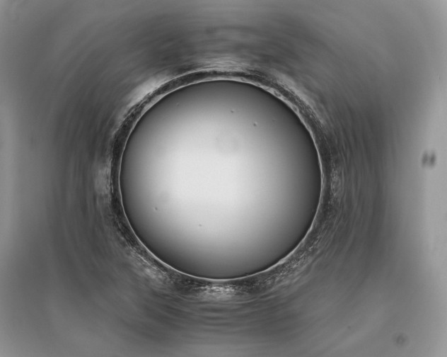 X0000096381315200801241228