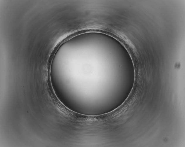 X0000096381316200801241228