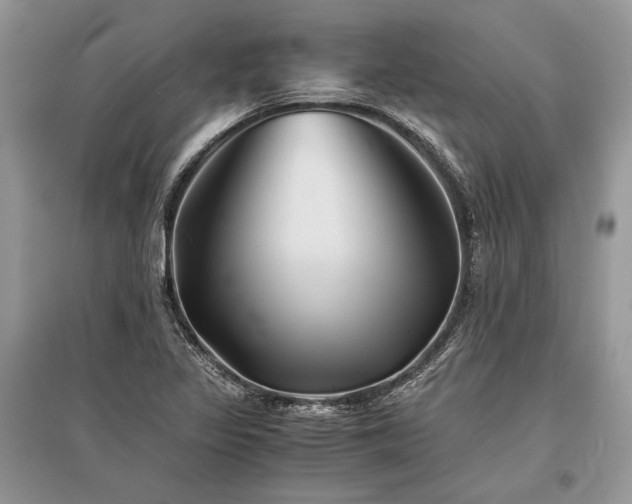 X0000096381317200801241228
