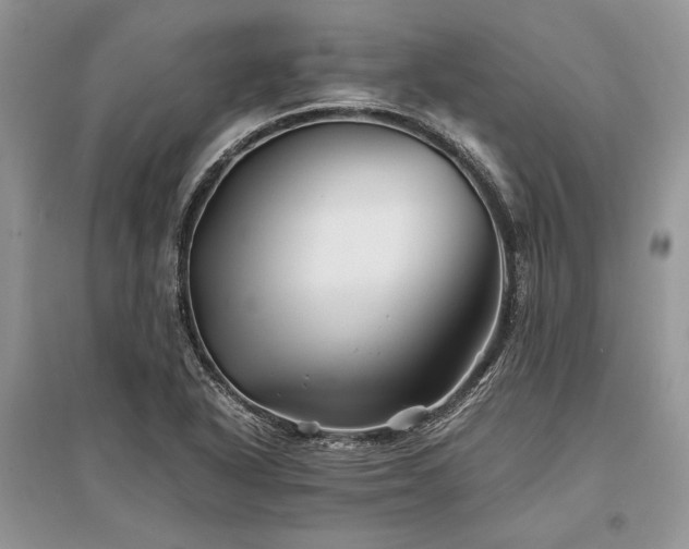 X0000096381318200801241228