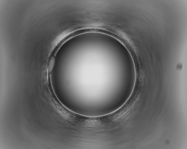 X0000096381320200801241228