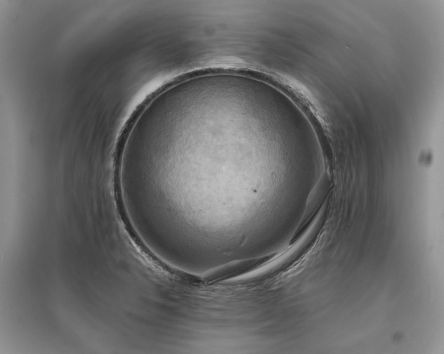 X0000096381326200801241228