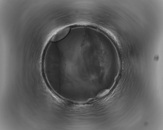 X0000096381327200801241228