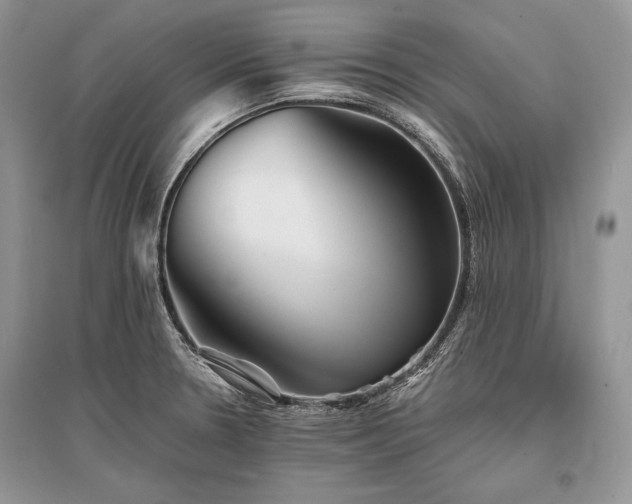X0000096381330200801241228