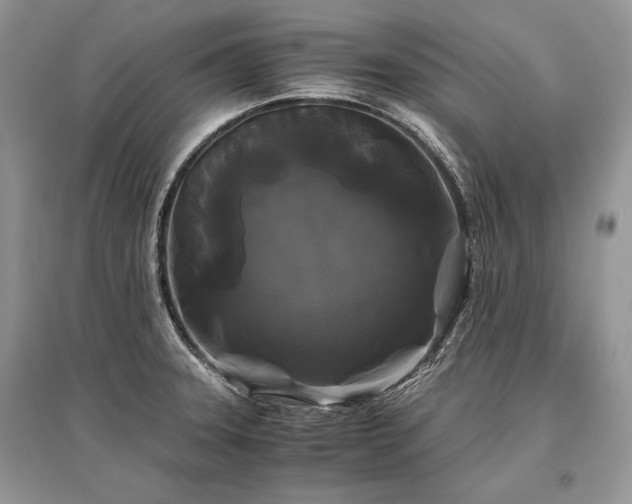X0000096381331200801241228