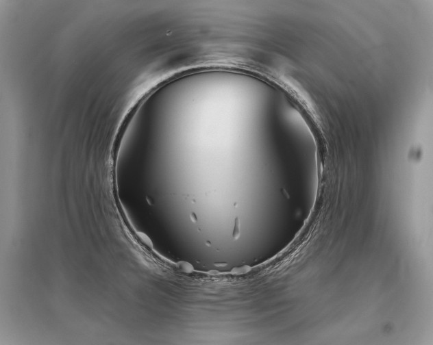 X0000096381332200801241228