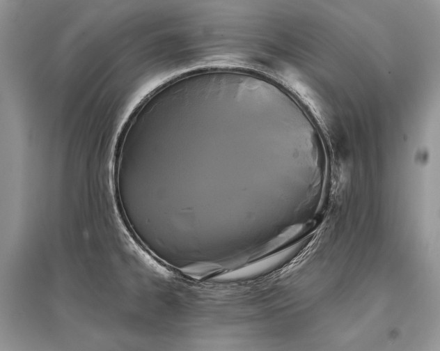 X0000096381334200801241228