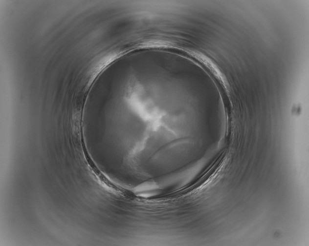 X0000096381337200801241228