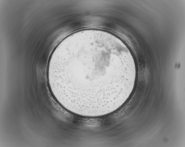 X0000096381338200801241228