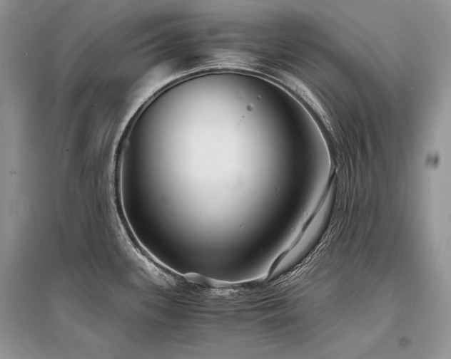 X0000096381339200801241228