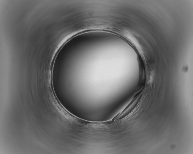X0000096381340200801241228
