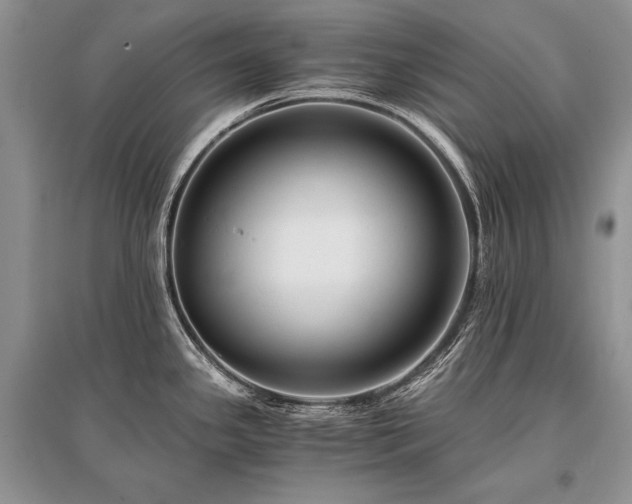 X0000096381341200801241228