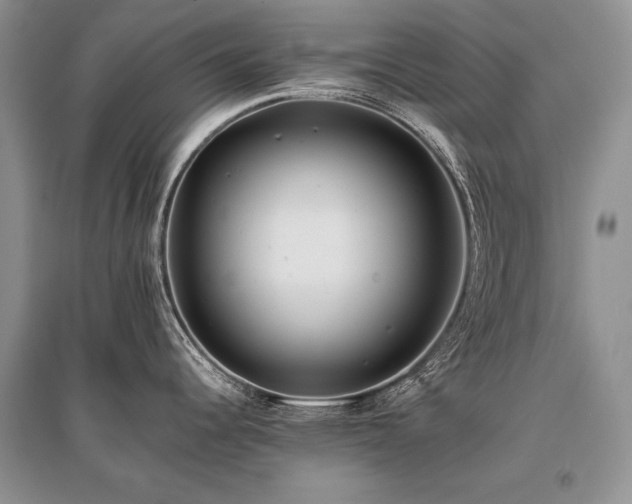 X0000096381344200801241228