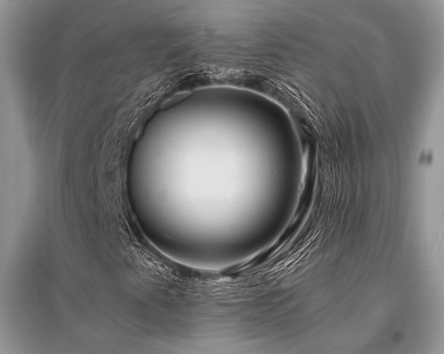 X0000096381345200801241227