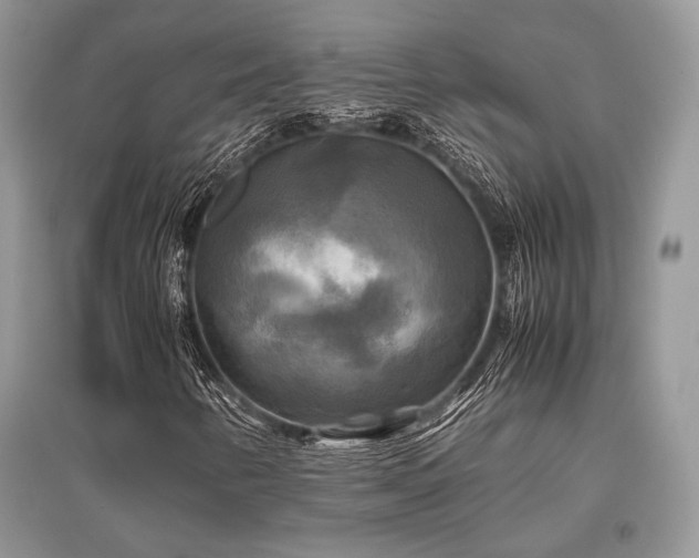 X0000096381346200801241227