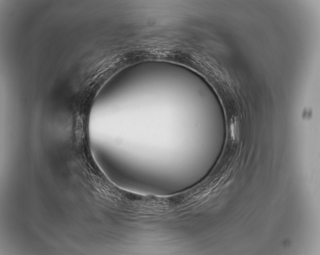 X0000096381347200801241227