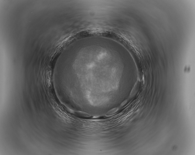 X0000096381348200801241227