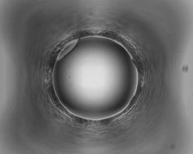 X0000096381349200801241227