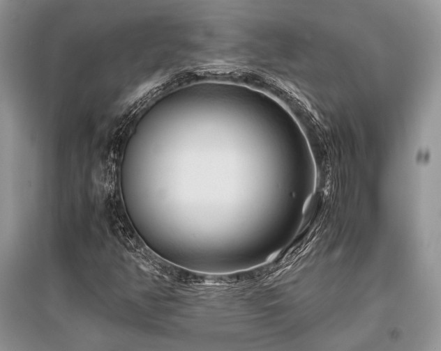X0000096381350200801241227