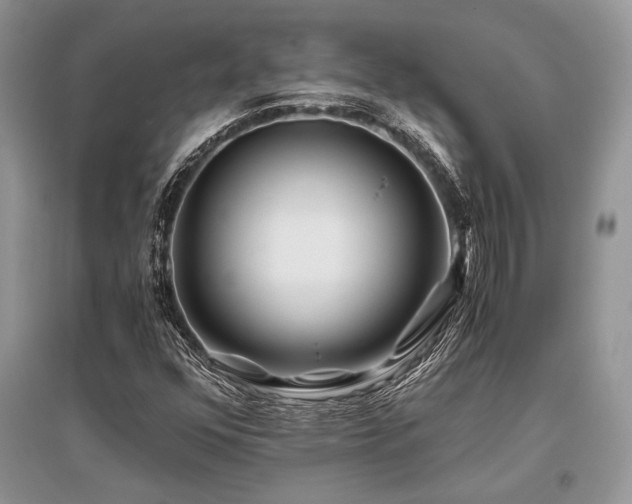 X0000096381352200801241227