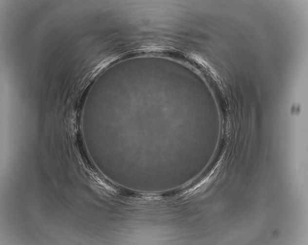 X0000096381353200801241227