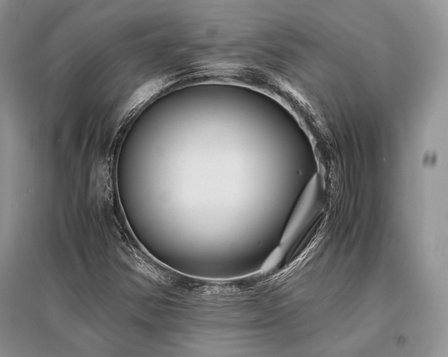 X0000096381354200801241227