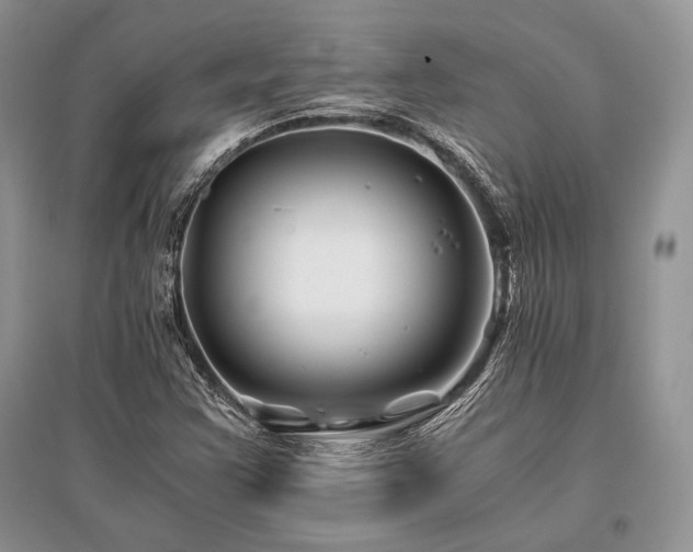 X0000096381355200801241227