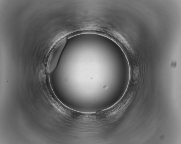X0000096381356200801241227